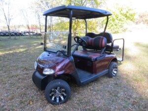 Custom Michigan State Golf Car
