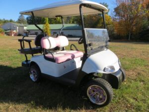 Custom Michigan State Golf Car
