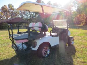 Custom Michigan State Golf Car