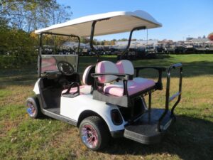 Custom Michigan State Golf Car